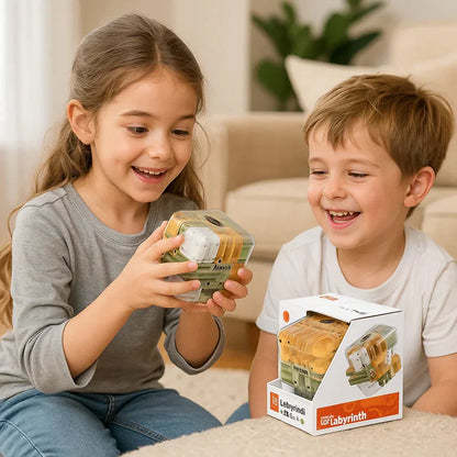 Logische puzzel “3D-doolhofkubus”