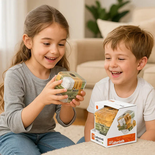 Logische puzzel “3D-doolhofkubus”